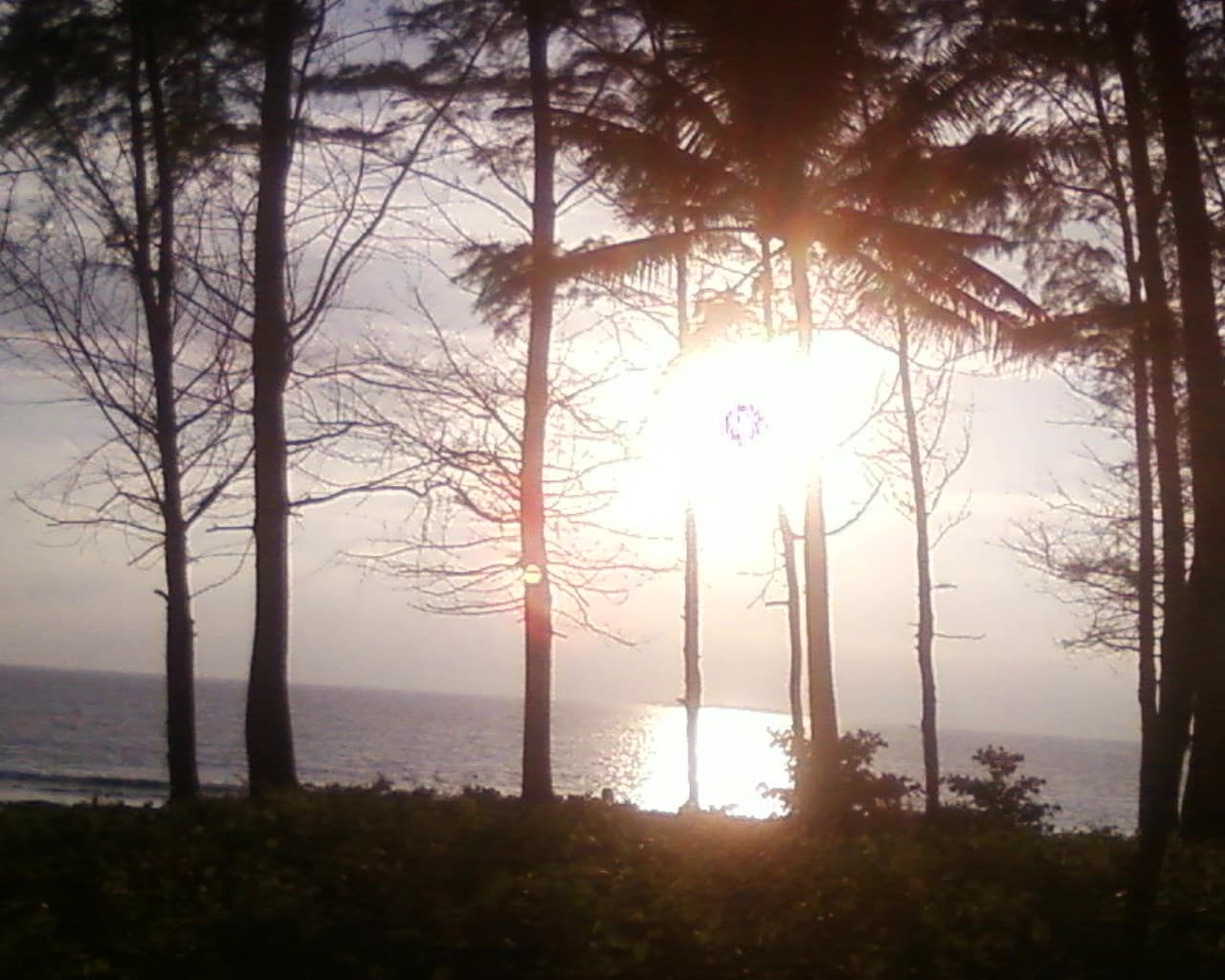 หาดในหาน