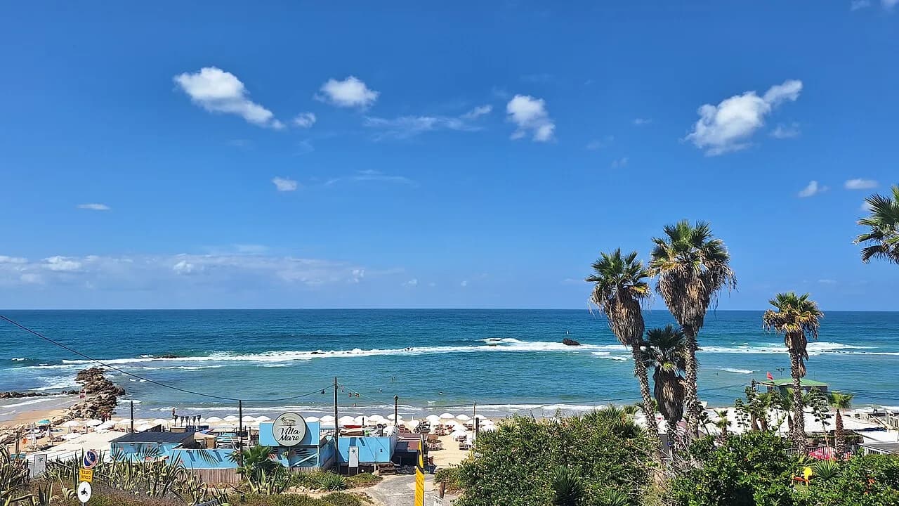 חוף סלע ב