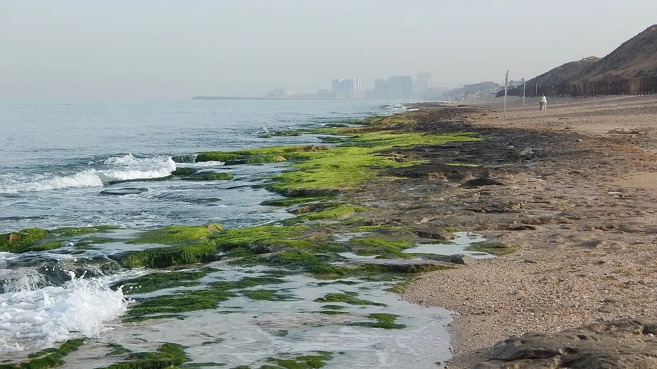 חוף הפירצה
